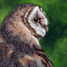 "Confucius"  Pastel on Paper